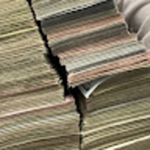 Meet your Posher, Motion